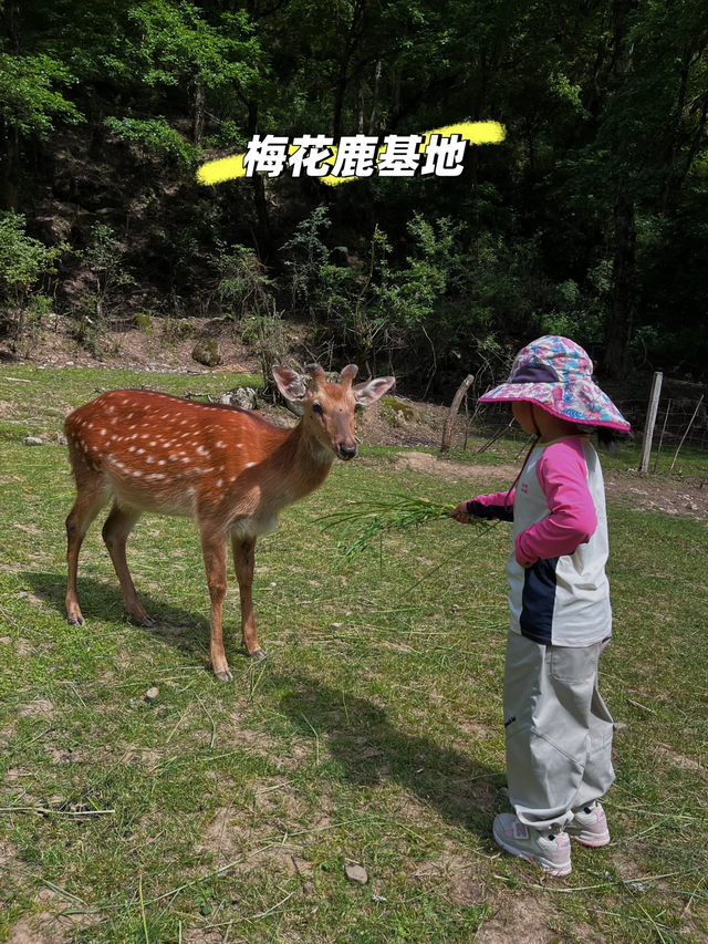收藏！成都出发5个低海拔亲子遛娃避暑胜地，周末往返必看！