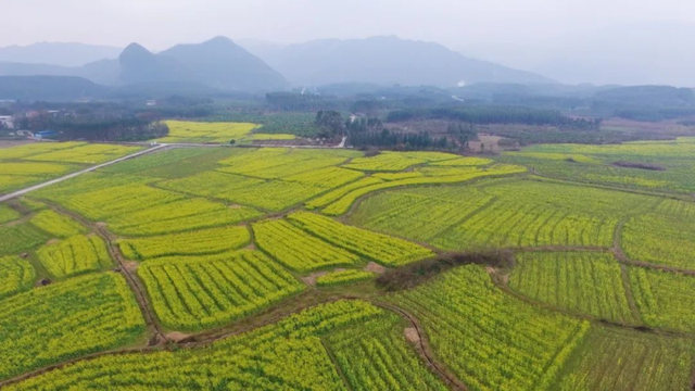 广西灵川县历史沿革及行政区划