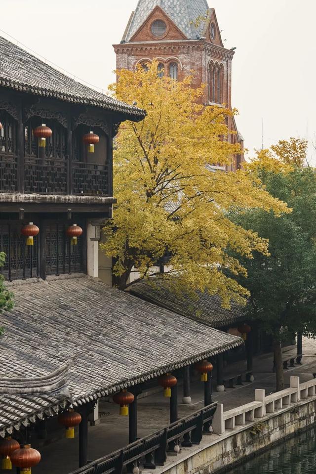 我们把台儿庄古城的秋天“晒”满了朋友圈，温柔了整座古城的初冬