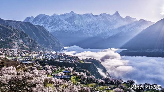 西藏这个地方，即将火爆！真正定义了什么是顶级春色！