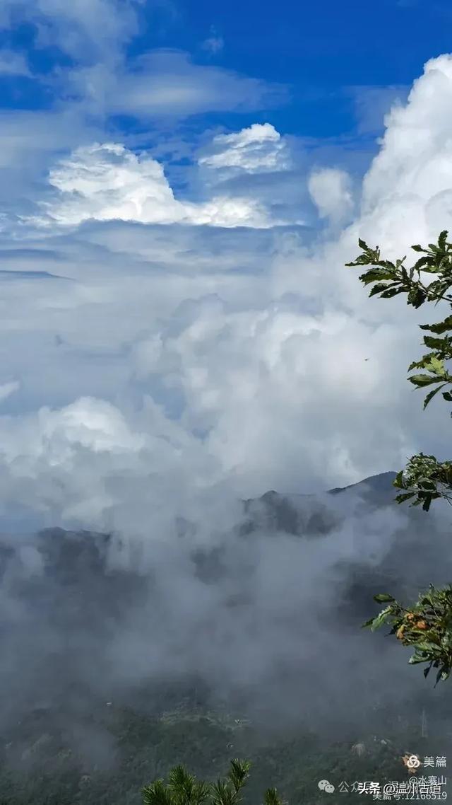 “浙南之巅”竟藏着以奇石景观著称的微缩版三清山，目前免费玩！