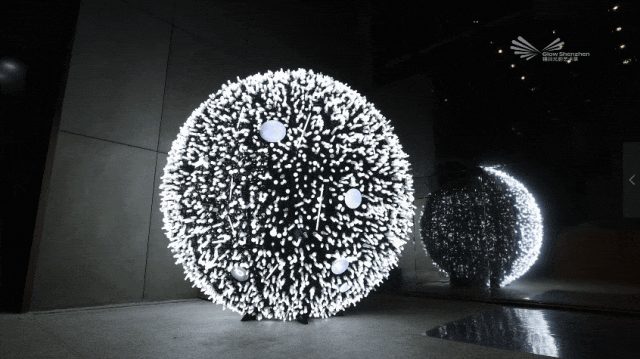 莲花山公园又上新了，现在就冲！