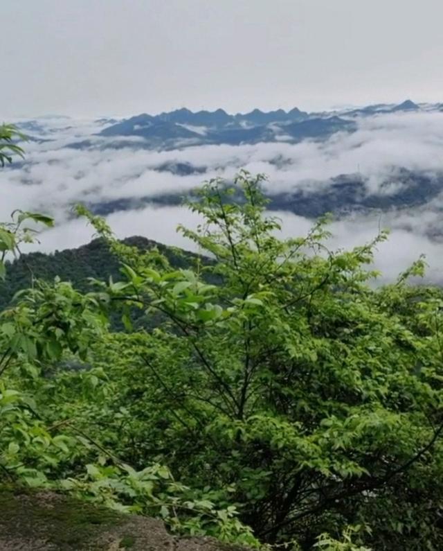 牛蹄岭雾中寻梦-陕西安康红色旅游一