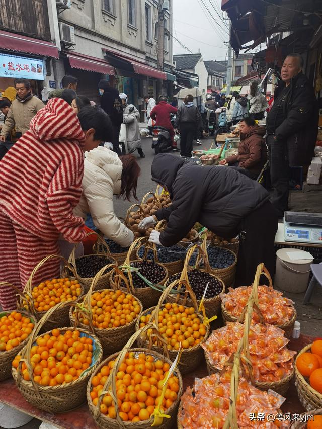 突然发现，上海周边这两个小城，就是个黄金旅游地，妥妥的后花园