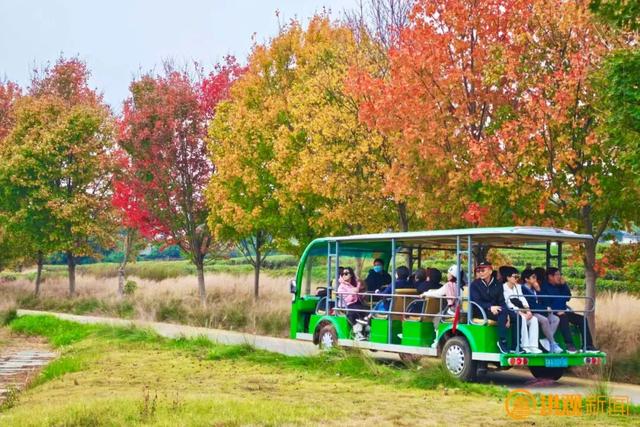 来南昌，打卡秋日限定 “枫” 景！