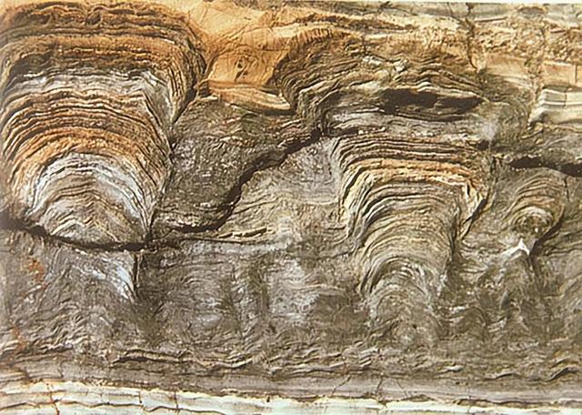 改写地球史，还能探火星？AI“听”到33亿年前岩石里的生命回声！