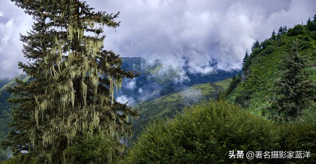 《在黑水，我听见了云的呼吸——川西藏着一片会唱歌的山》