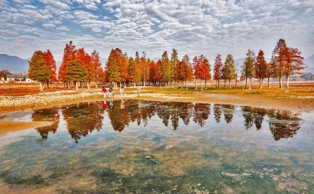 若你问深秋最该去哪里偷段闲？答案，就藏在黟县