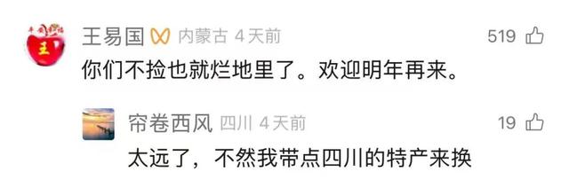 内蒙古“捡土豆”之后还有“隐藏款”？网友：明年组队去“进货”！