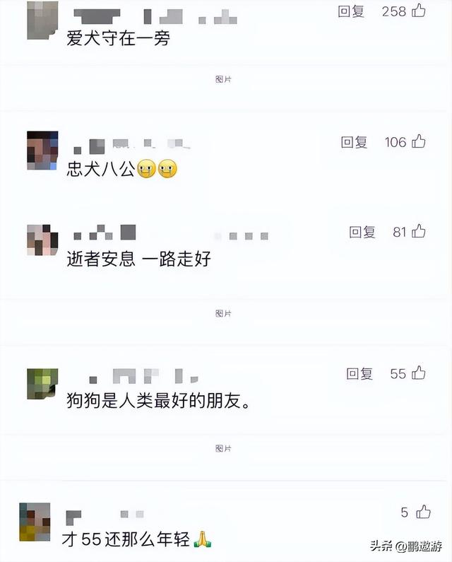 一路走好！继朱媛媛后又送走一资深演员，在家猝逝多天忠犬陪伴