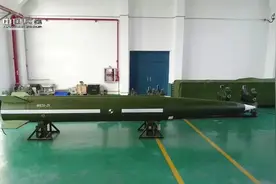 东大超级远火，能射500公里！鹰酱怒了：兔子，你还说不是导弹？图片