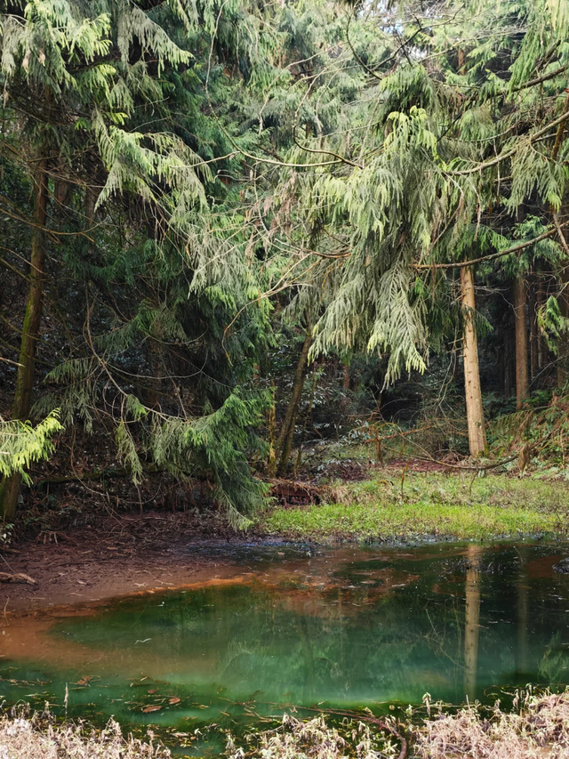 成都2h的新徒步路线，野趣十足、新手友好，免门票免停车费快冲！