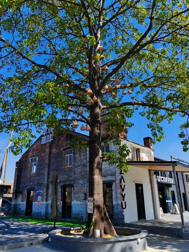 在勒北，偷一日闲，新旧交织引客来