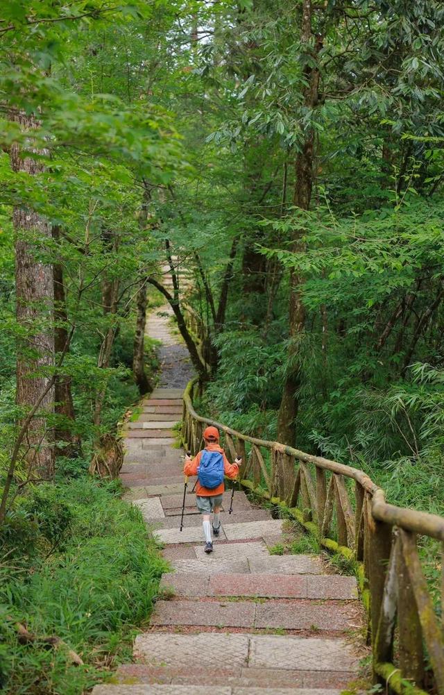 夏日纳凉避暑TOP1！亲子耍水、徒步吸氧、度假风打卡地，22°的夏天抓紧来！