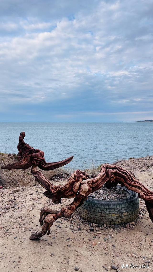 邂逅沙湖