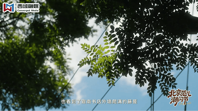 王星越来西城了！同款专属西城潮玩路线公布~