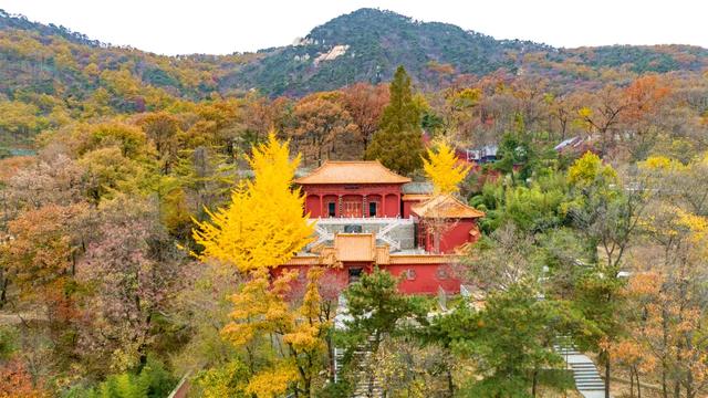 人气拉满!蒙山“国庆晴天险”福利,迎来首批兑现热潮!