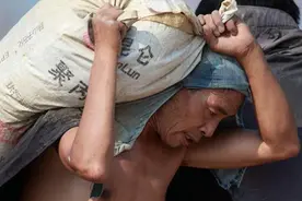 农民一生犯过几个错误？最低有4个，不要不服气，我来帮你算一算图片