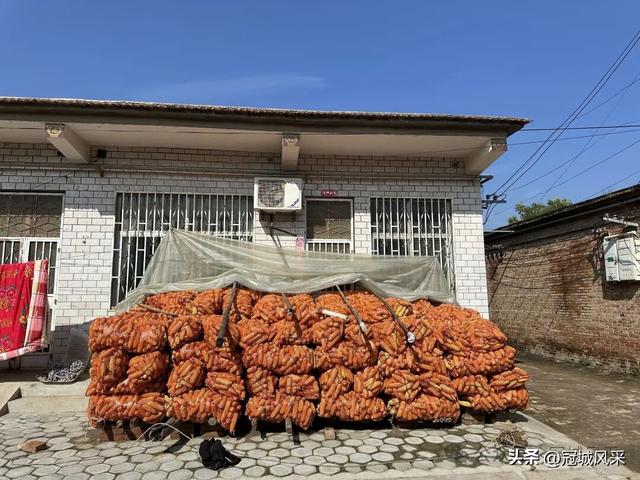 冠县乡韵·兰沃乡大柳邵村