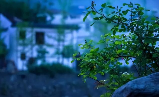 天凉好个秋，不如去骆家坝走走→