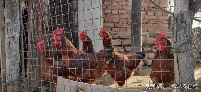 长城徒步之96：赤城上堡村至红泉沟村长城，赏长嵯之落日