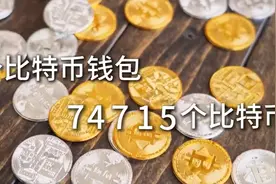 从湖南学霸到比特币首富，他如何掌控全球算力又神秘消失？图片
