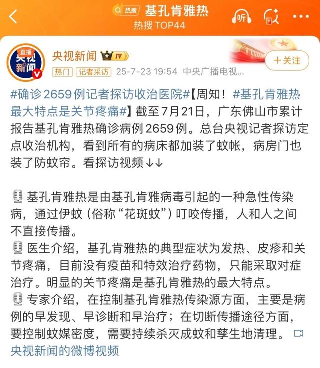 暑假出游防“花蚊子”！基孔肯雅热防护攻略请收好→