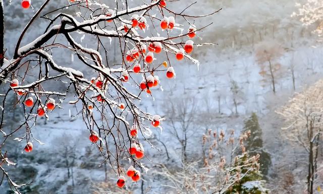 明日立冬，无论有钱没钱，牢记：1不去，2不洗，3要吃，迎冬纳福