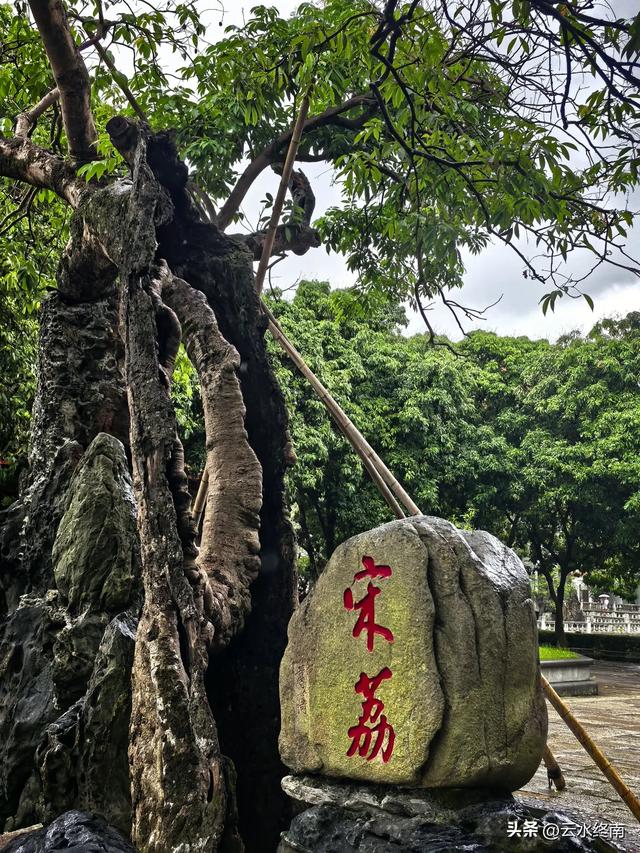 福州不多的收费古寺,20元门票能吃到宋代的荔枝吗?看我实地探访