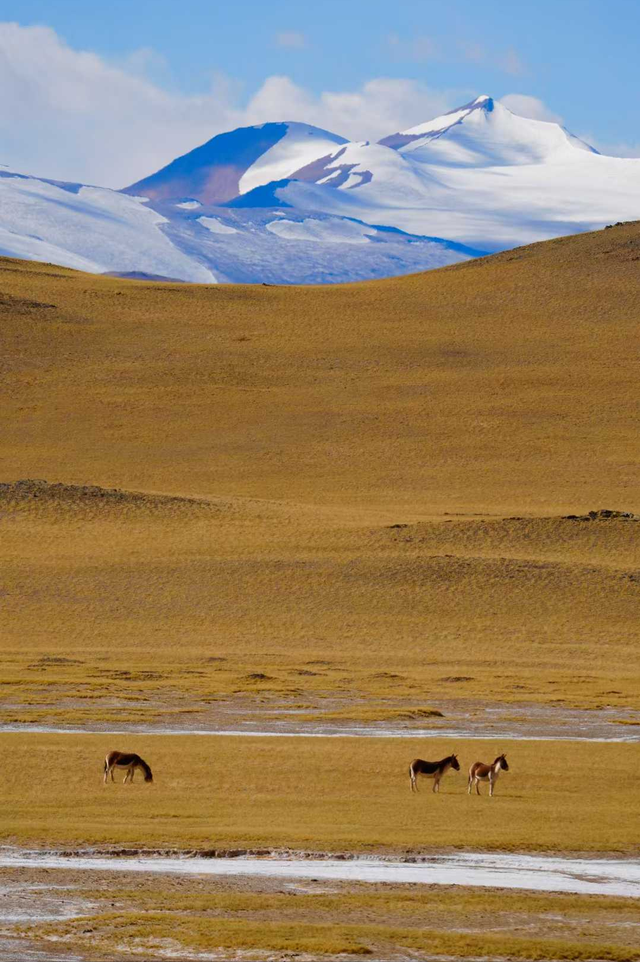 1条国道，全长10065公里，万千极致景观！50+自驾达人的终极梦想