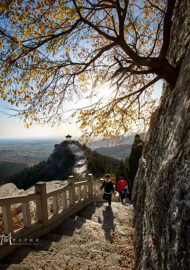 青州这些景致，藏着最动人的温柔