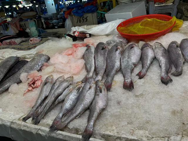 40头花胶多少钱一斤 2026年40头花胶与60头花胶有什么区别?