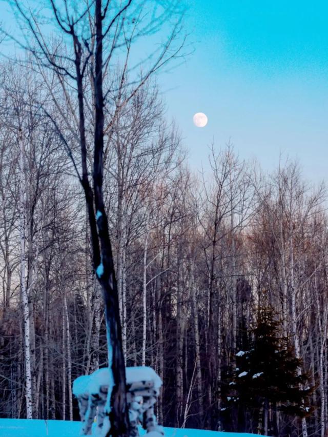 抚松雪季即将上线，这份冬日出逃计划请查收！