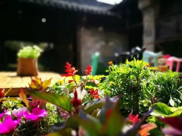 大美广元 邀您来宿 | 10家“最美民宿”新鲜出炉！住进山水里的夏天