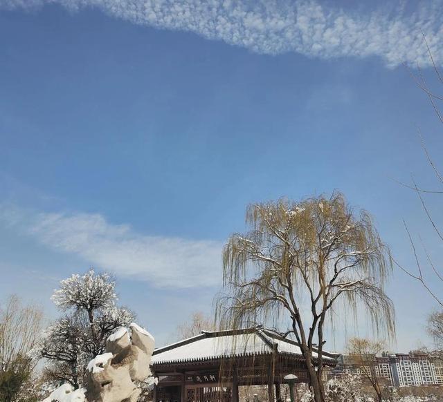 “超级冷冬”是真是假？专家一句话点破：今年冬天最可怕的不是冷