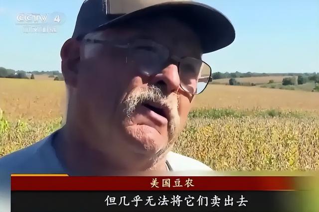 为大豆放低身段，美国公开表示：若中国需要大豆，希望先找美国