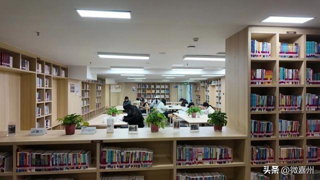 这五年 | 市中区：锚定“文旅兴区”战略 文旅融合焕新颜