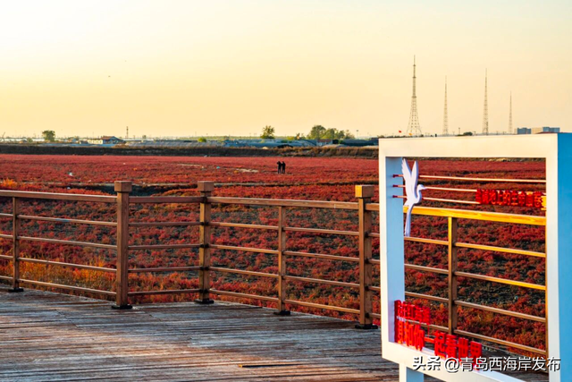 好！多！颜！色！啊！