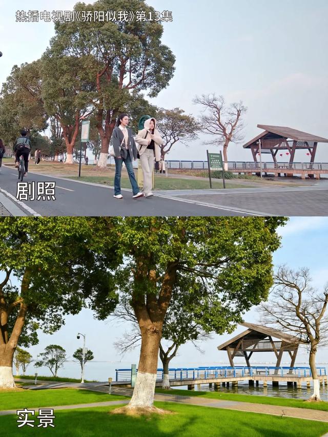 来园区，打卡热播剧同款美景！