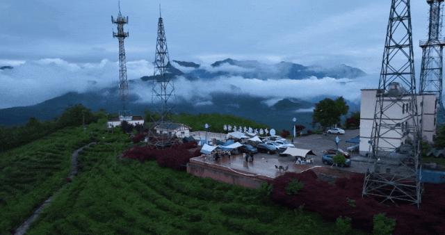 露思，青川除了葛根茶和山珍，还有超多美景，避暑纳凉，我在青川等你~