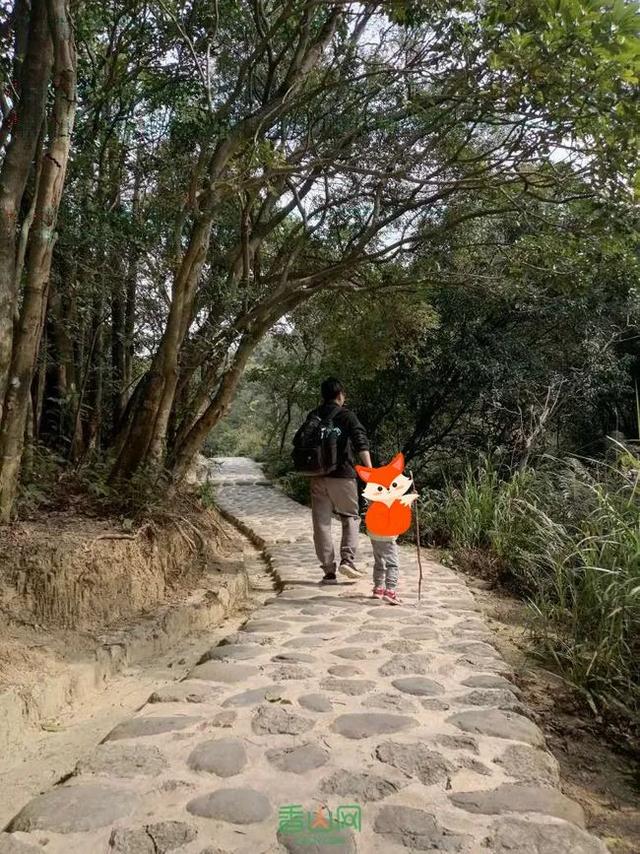 绝美！珠海小众绿道盘点！可徒步可骑行！