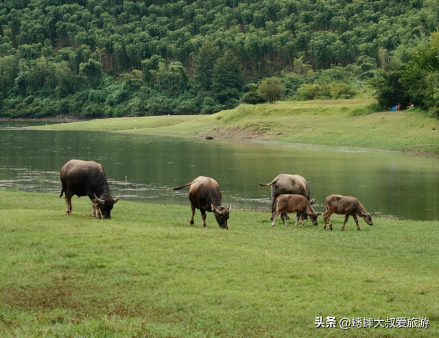 靠近杭州的“后花园县城”真棒，景点与美食俱佳，适合前来度假！
