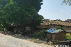 1994年，我送肉给城里小姨，她给一包旧衣，回家敞开袋，母亲哭了图片