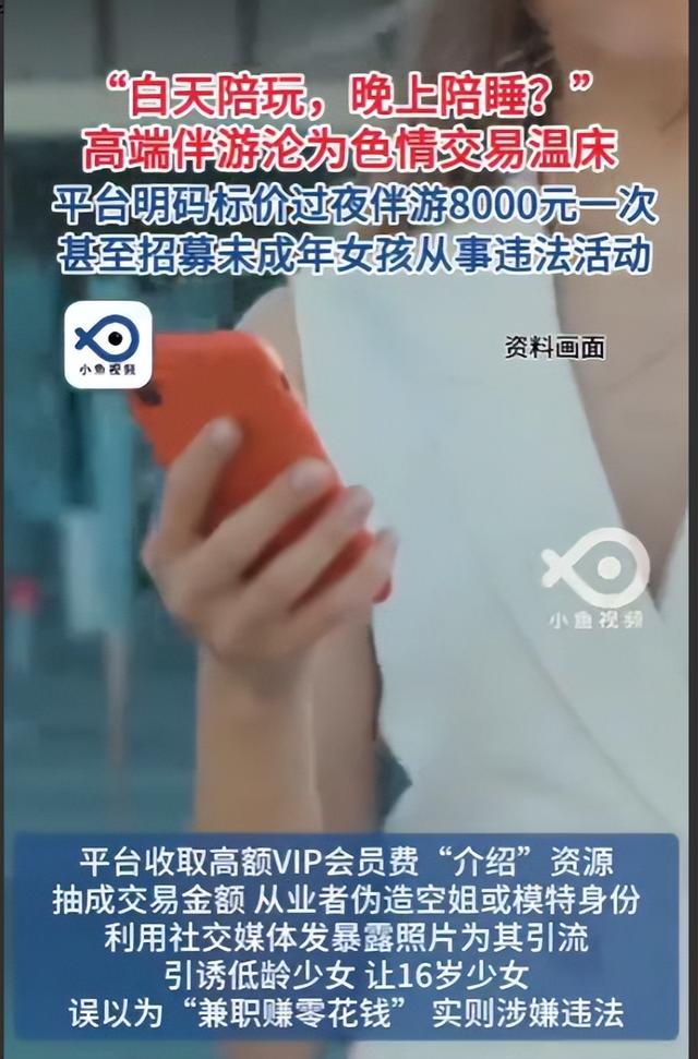 白天陪玩、晚上陪睡！明码标价8000元一次，未成年人成重点目标