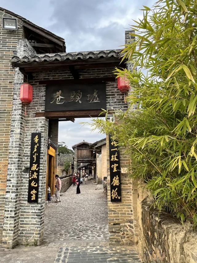 收好始兴这条线路，一天玩转艺术、古村与落羽杉，追一场岭南最绚烂的秋！