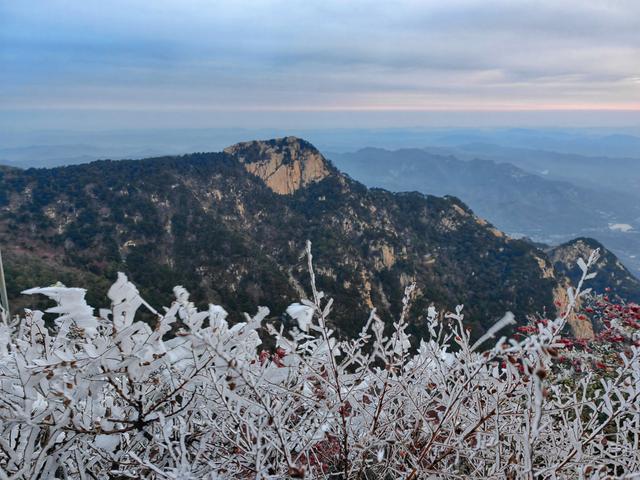 泰山之巅现雾凇奇观 银装素裹如仙境