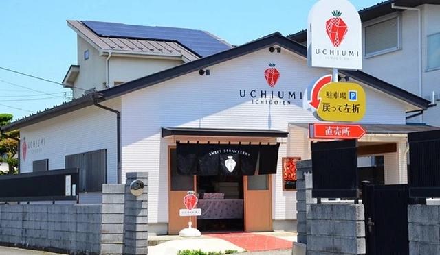 东京采草莓景点10选:新宿、涩谷当日来回、多样草莓品种吃到饱