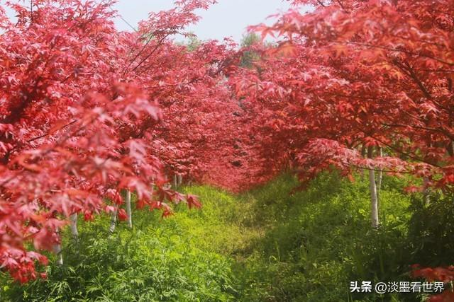 我试了一个“人生构建法”，终于告别迷茫，把喜欢的事变成了正职