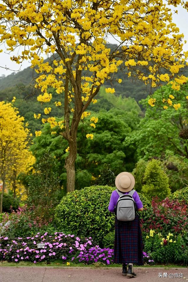 【跟着旅徒游广西】之四十:南宁|青秀山公园