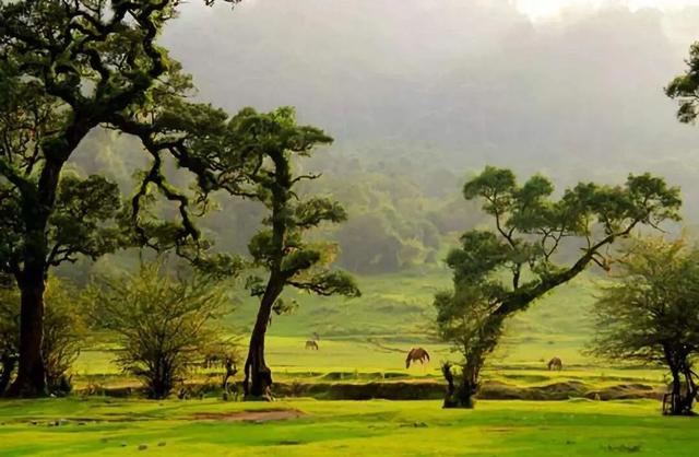 云南最美最经典的自驾线，1600公里跨越6州市，一路风光一路惊喜